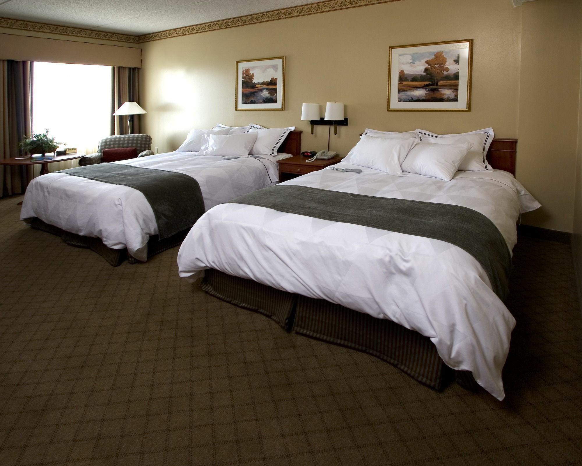 Hilton Appleton Paper Valley מראה חיצוני תמונה